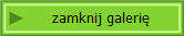 zamknij galerię